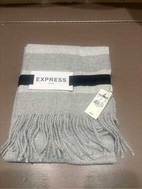 Express Gray and White Striped Fringe Scarf